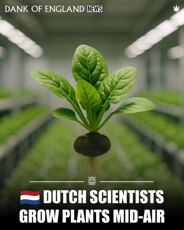 Dutch Scientists