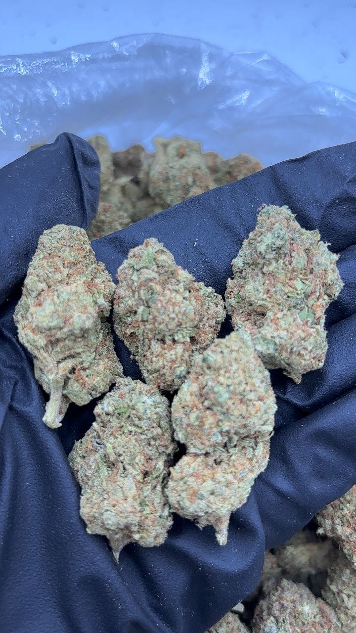 Peach Zkittlez Strain Peach Zkittlez Strain