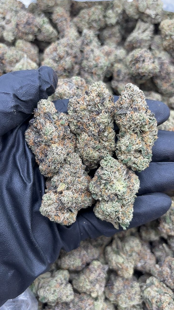 Russian Runtz Strain Russian Runtz Strain