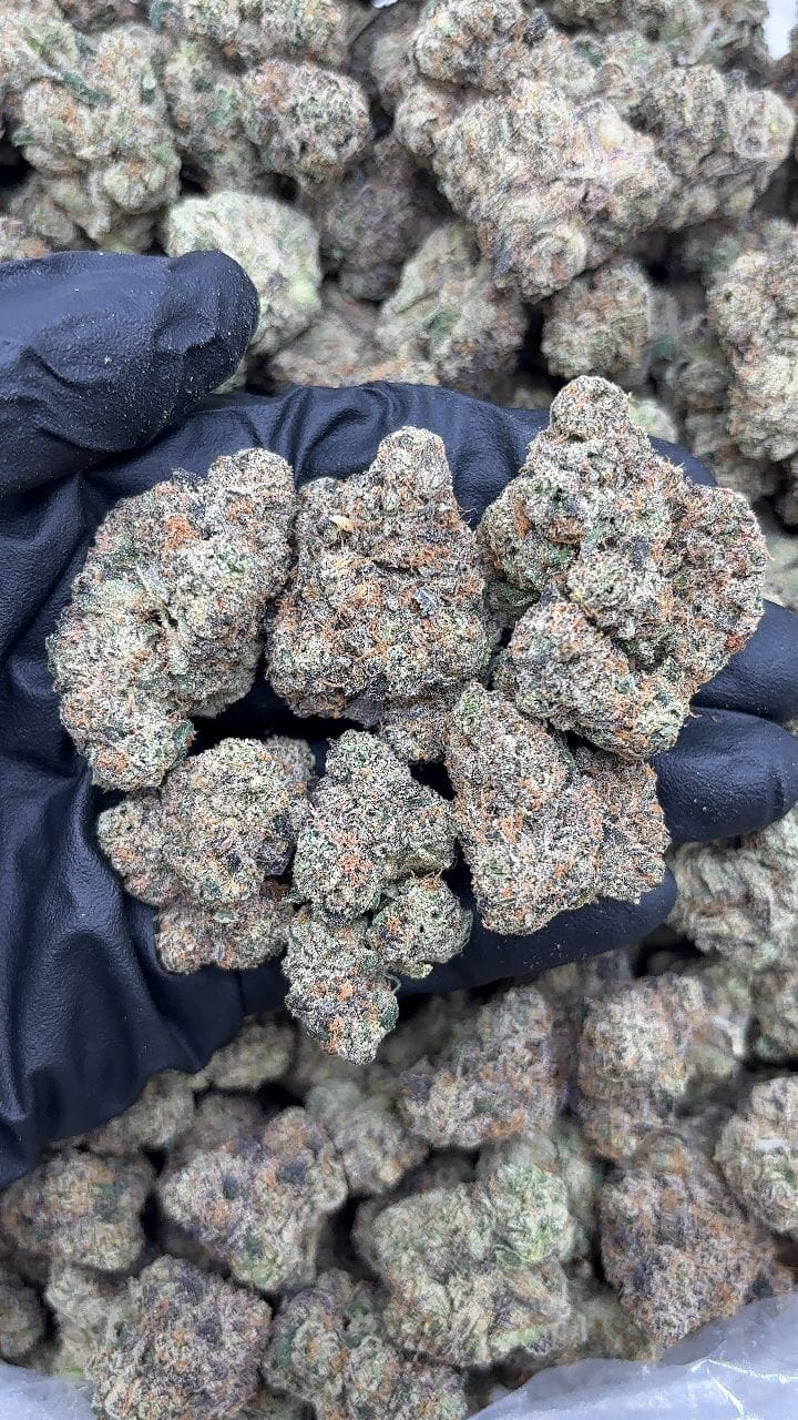 Blue Nerds Strain Blue Nerds Strain