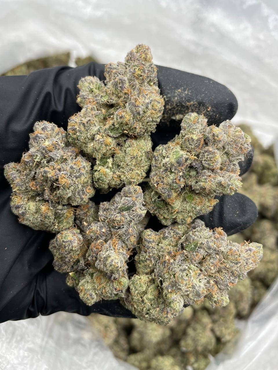 Cotton Candy Strain Cotton Candy Strain