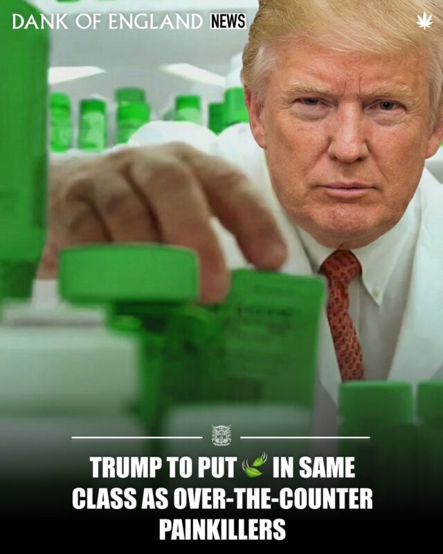 Federal Cannabis Shift