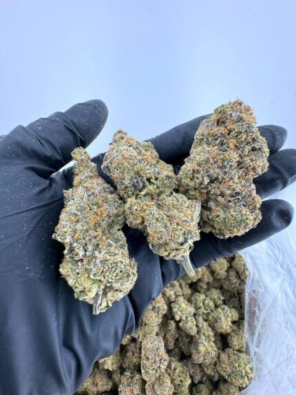 Jack Herer